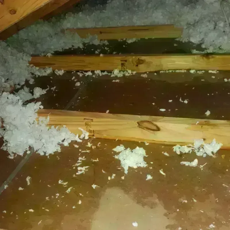 Attic Water Damage in Tulsa, OK