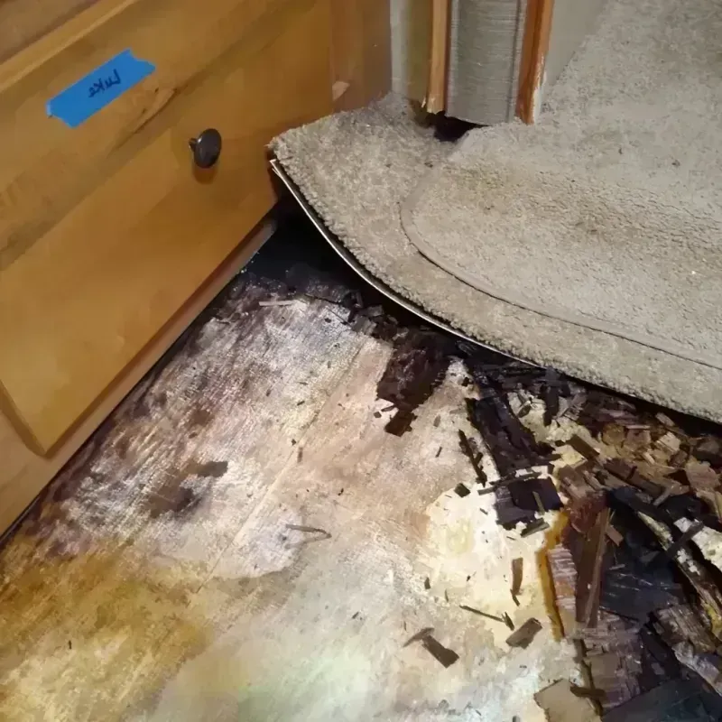 Best Wood Floor Water Damage Service in Tulsa, OK